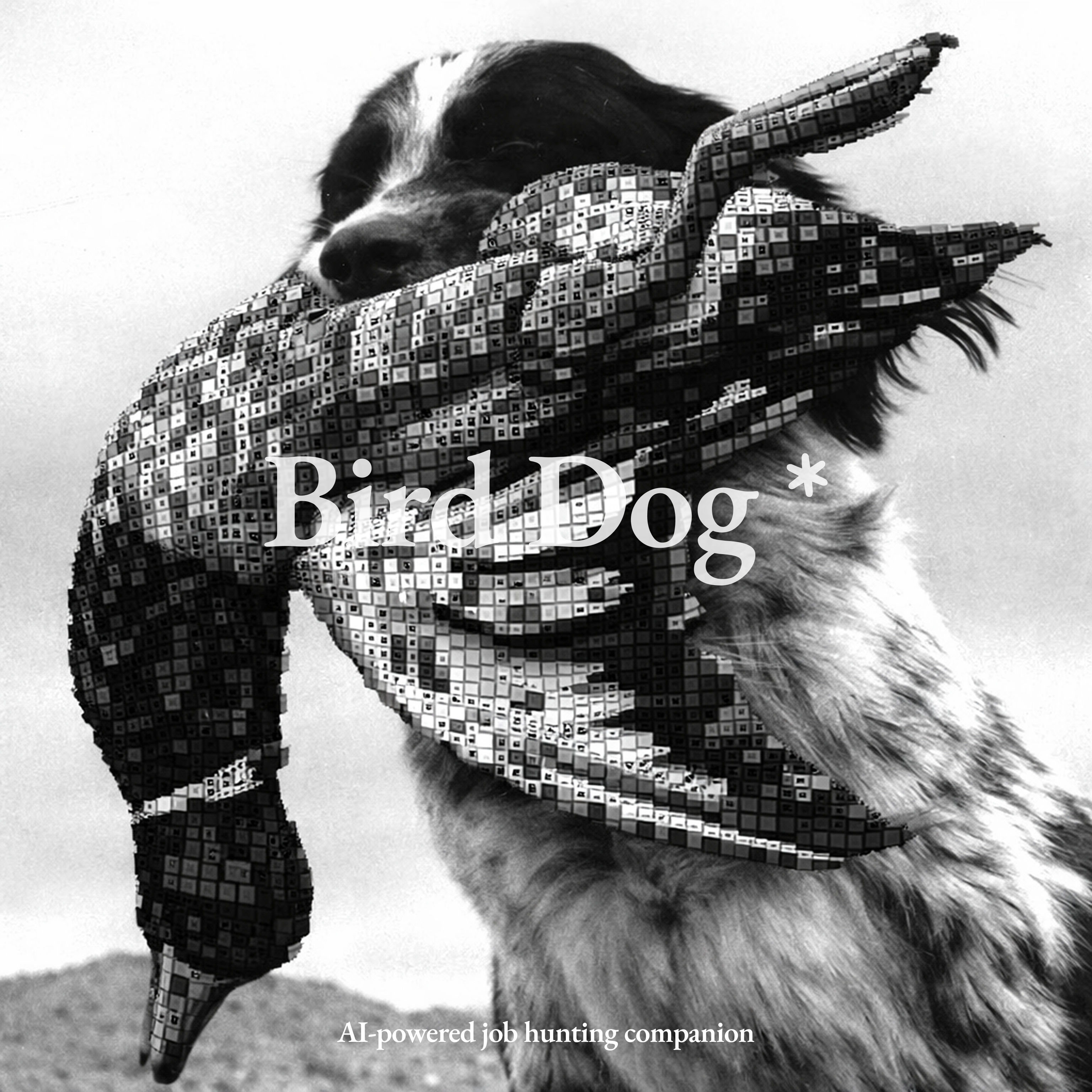 Dog with bird poster